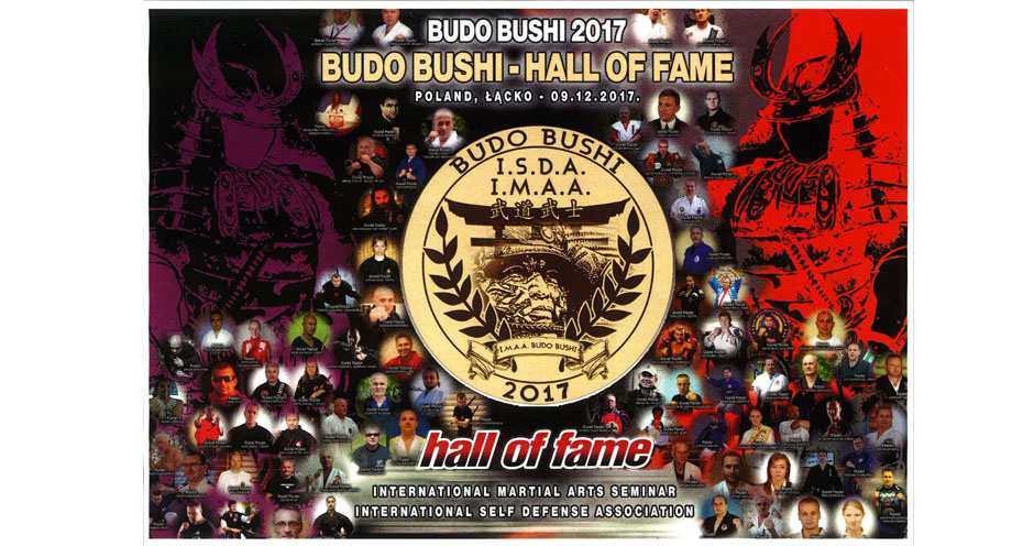 budo bushi poster
