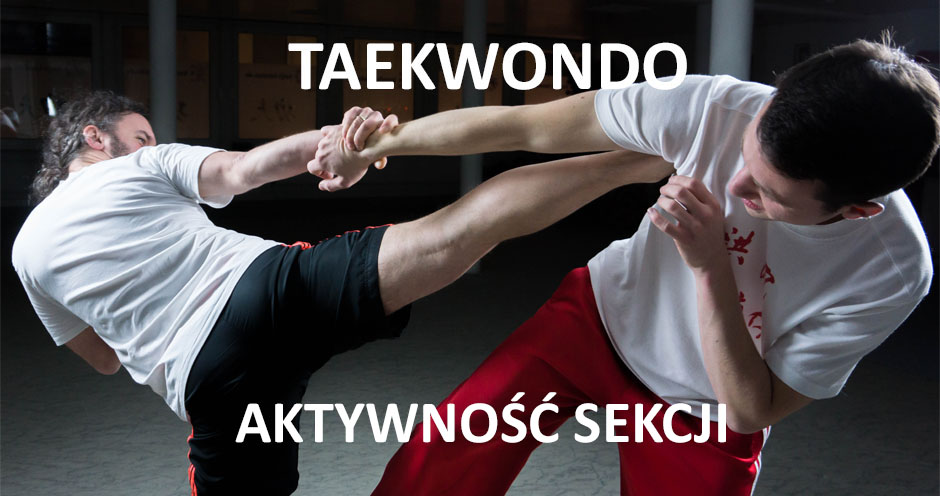 taekwondo
